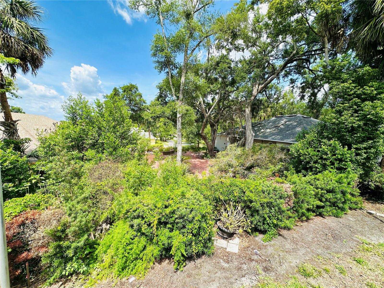 MOUNT DORA HIGH POINT AT LAKE DORA - Residential