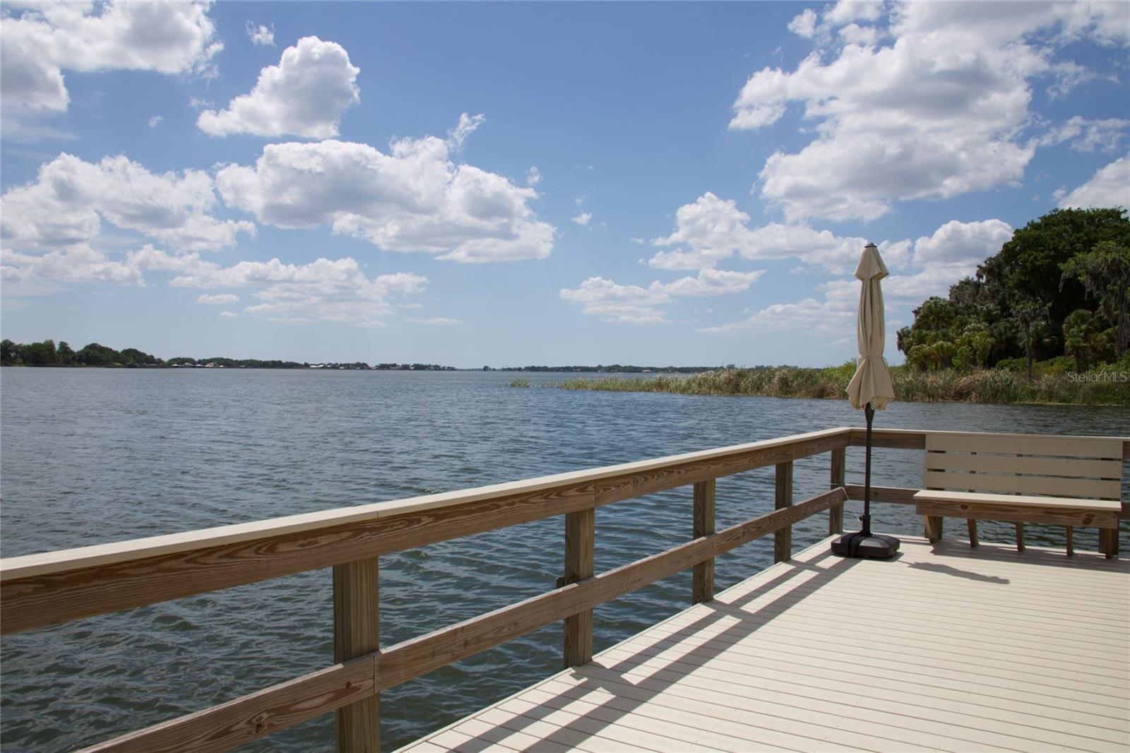 MOUNT DORA HIGH POINT AT LAKE DORA - Residential