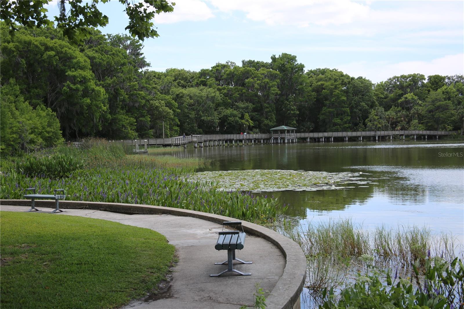 MOUNT DORA HIGH POINT AT LAKE DORA - Residential