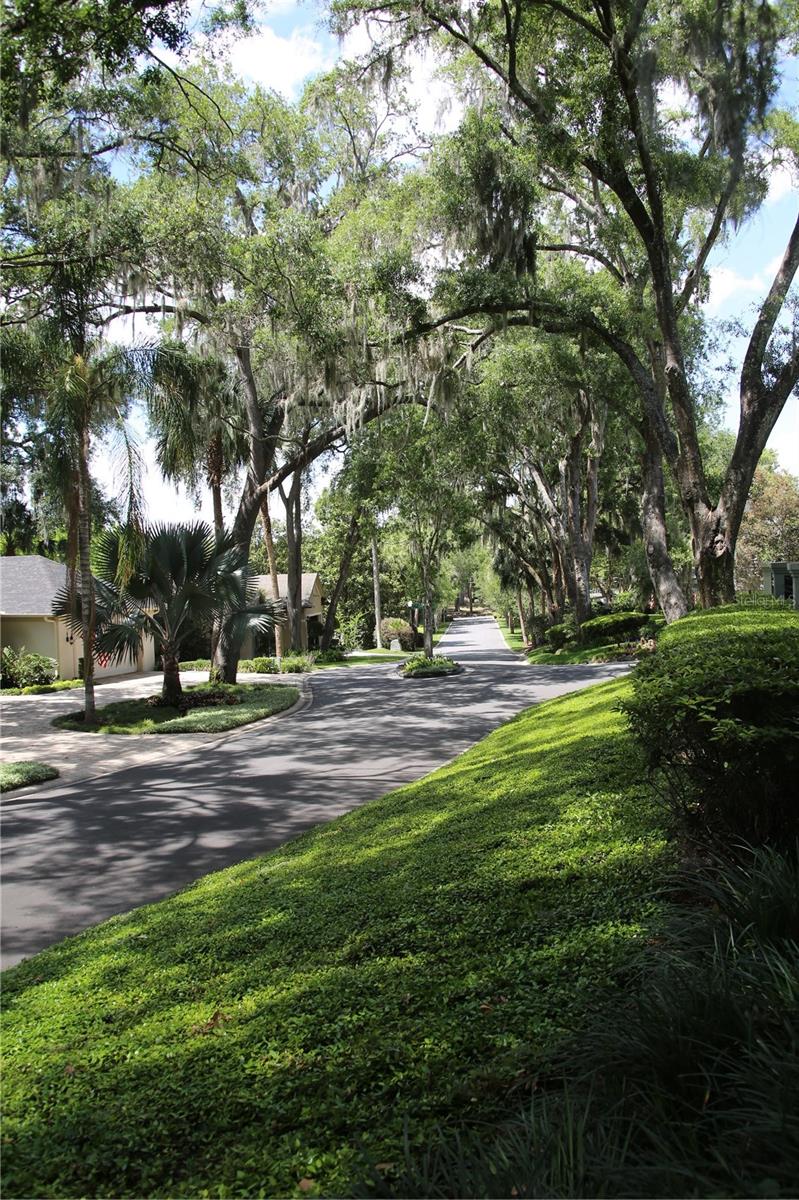 MOUNT DORA HIGH POINT AT LAKE DORA - Residential