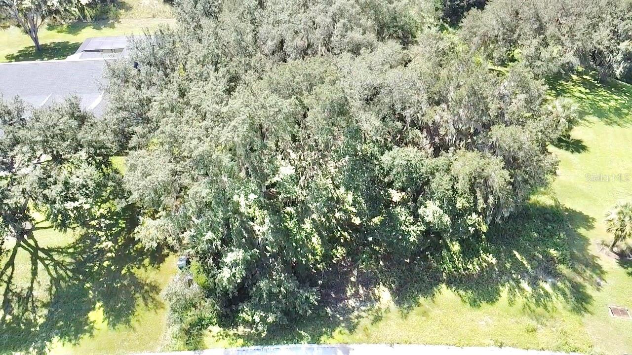 ESTATES AT BLACK BEAR RESERVE - Land