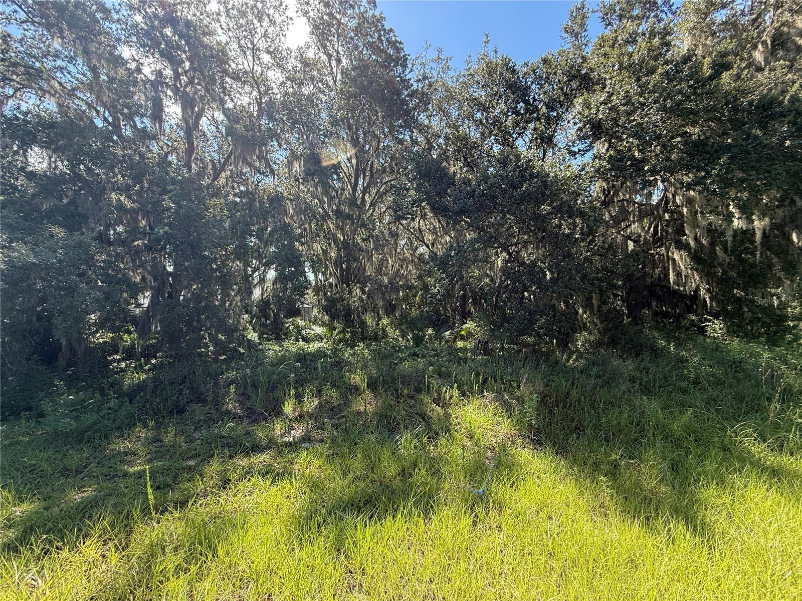 ESTATES AT BLACK BEAR RESERVE - Land