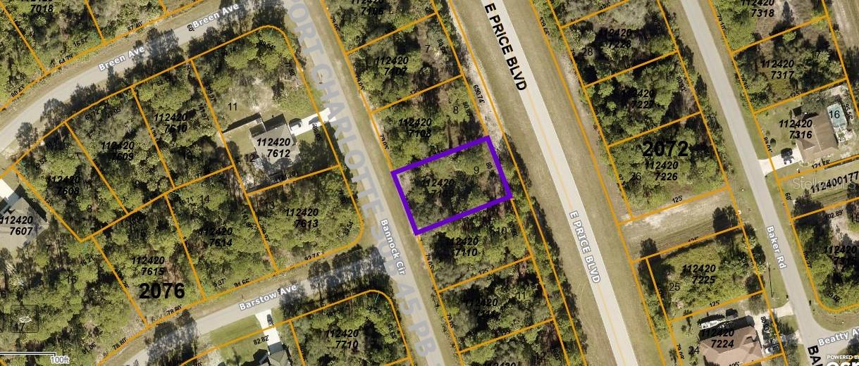 OPPORTUNITY AWAITS. Here is your chance to own a piece of paradise! Here is the one you have been looking for! Buyer is responsible for performing all due diligence including, but not limited to, availability of utilities, scrub-jay, wetlands, and tortoise restrictions and lot dimensions.