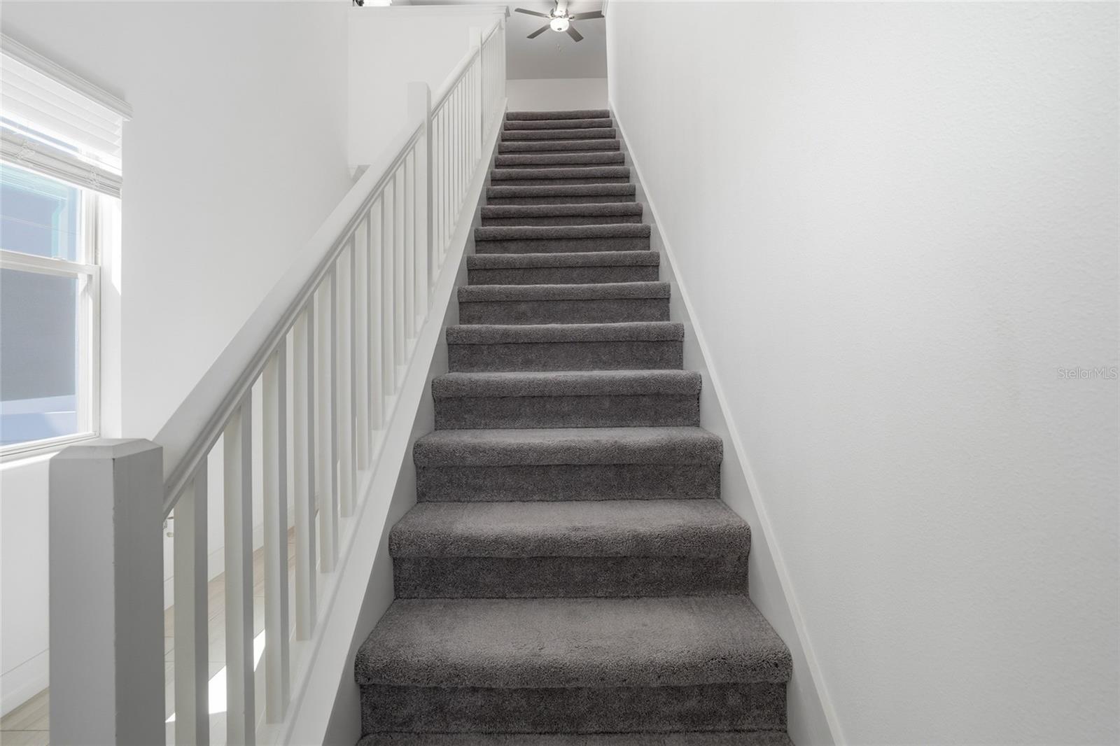 PORT TAMPA CITY MAP - Residential