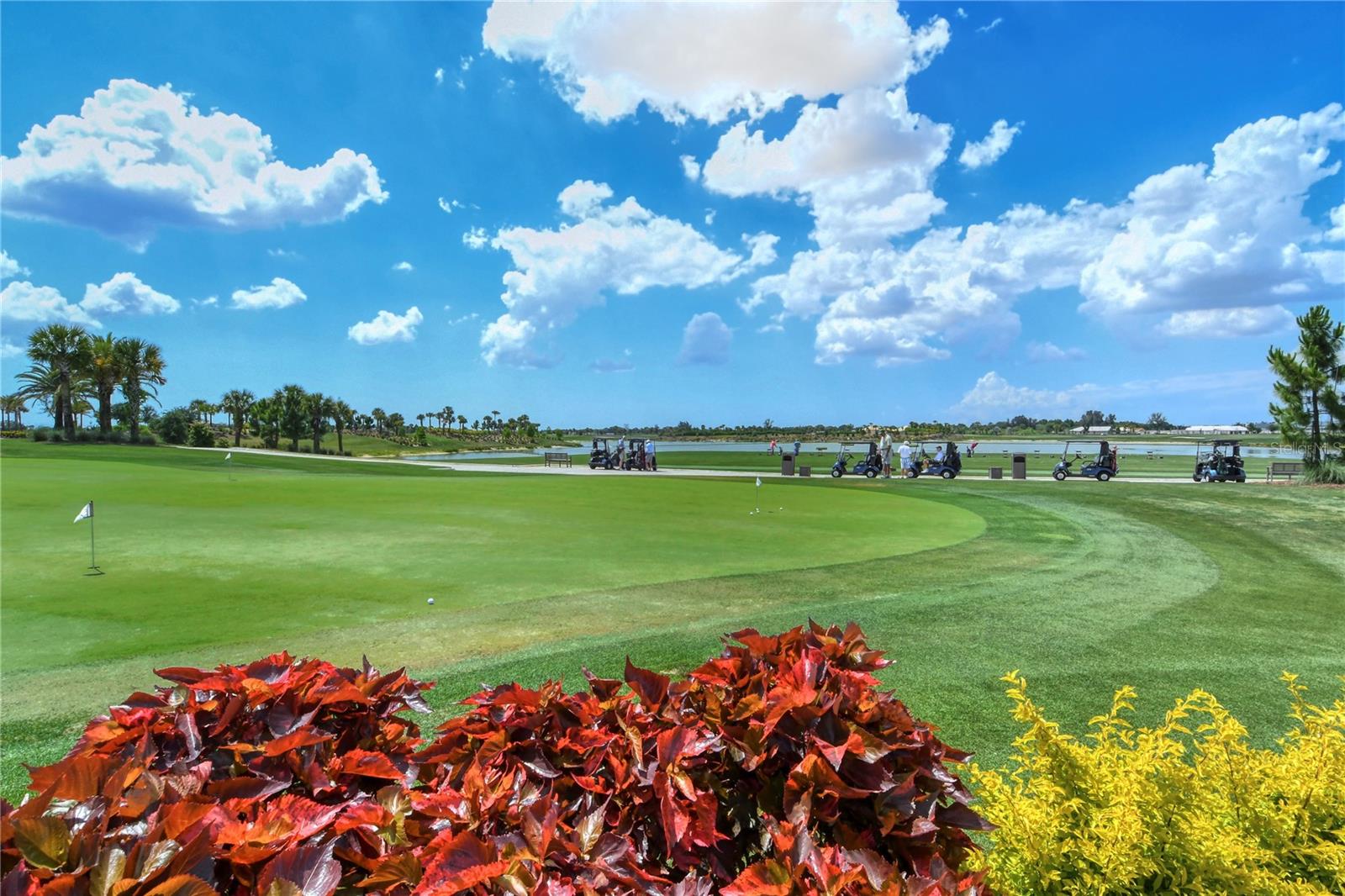 AZARIO ESPLANADE - Residential Lease