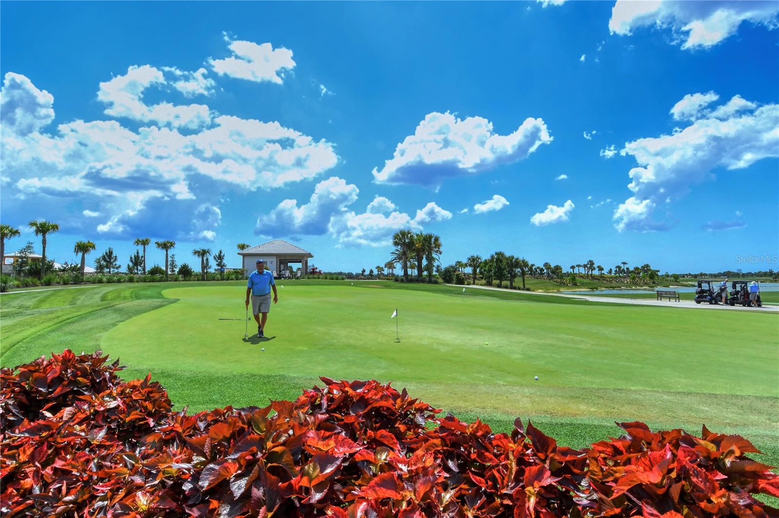 AZARIO ESPLANADE - Residential Lease
