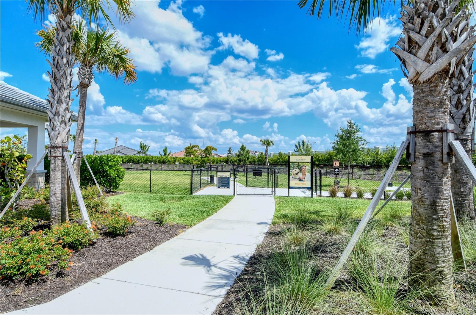 AZARIO ESPLANADE - Residential Lease