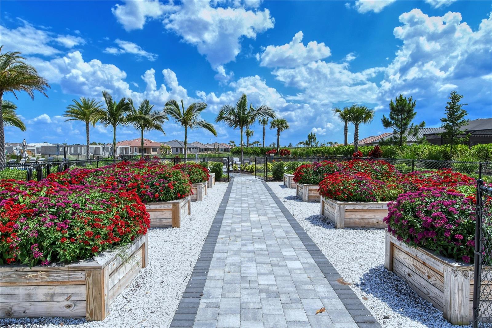 AZARIO ESPLANADE - Residential Lease