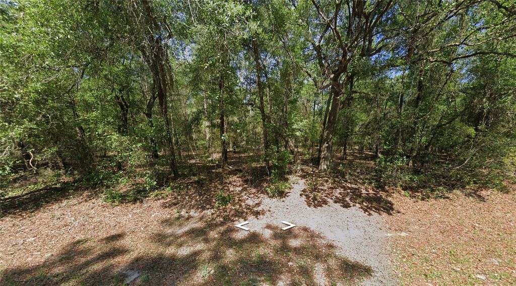 Photo of 8330 N Yellowbird Avenue, Dunnellon, FL 34434 (MLS # O6336955)