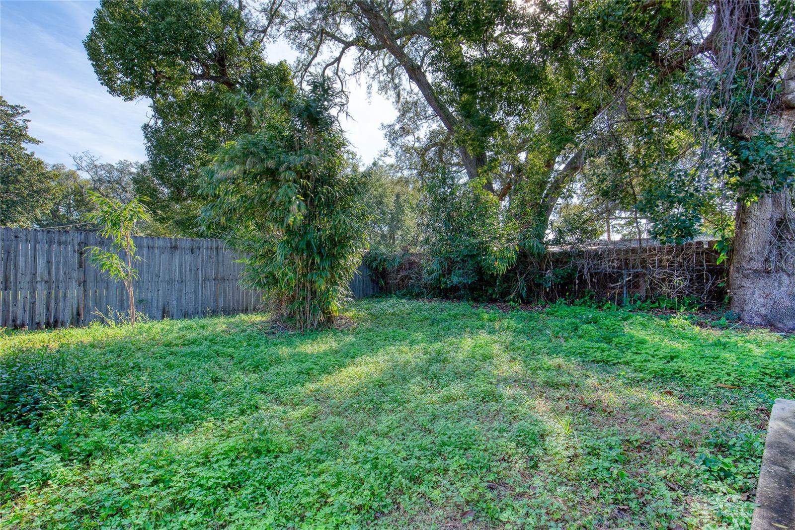 ST JOHNS PARK - Residential