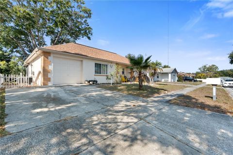 Photo of 1305 Mandarin Drive, Holiday, FL 34691 (MLS # W7881792)