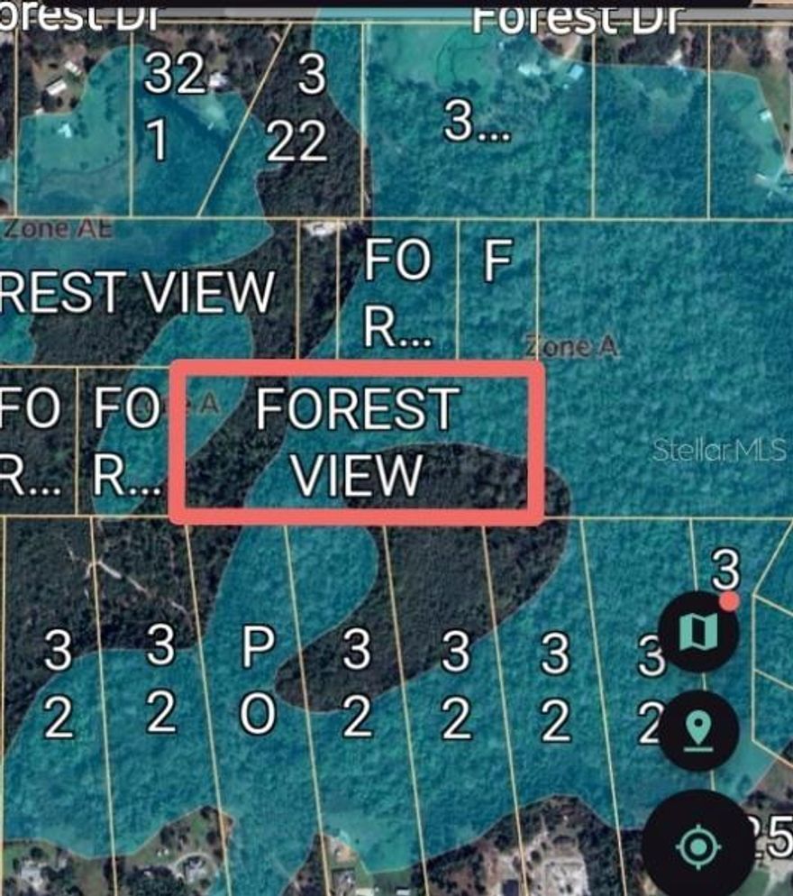 Buildable lot in the X ZONE - NO FLOOD ZONE-NO HOA- NO flood insurance needed.     More than 11 private acres with Agricultural zoning nestled in the outskirts of Orlando making an easy drive to the Airport, Disney, Daytona beach  Cocoa Beach , Cape Canaveral & much more.    GREAT INVESTMENT.  Buy at this great price and watch the value grow year after year.   This area is projected to double in size over the next 5 years which means your Equity will increase year after year.  
The cost of living in this area is lower than the national average & the job market is thriving.   Deland maintains a historic small-town vibe with its award winning Downtown Main street & Victorian architecture.     FINANCING AVAILABLE FOR QUALIFIED BUYERS.

4 miles to the St Johns River and 10 miles to Downtown DeLand