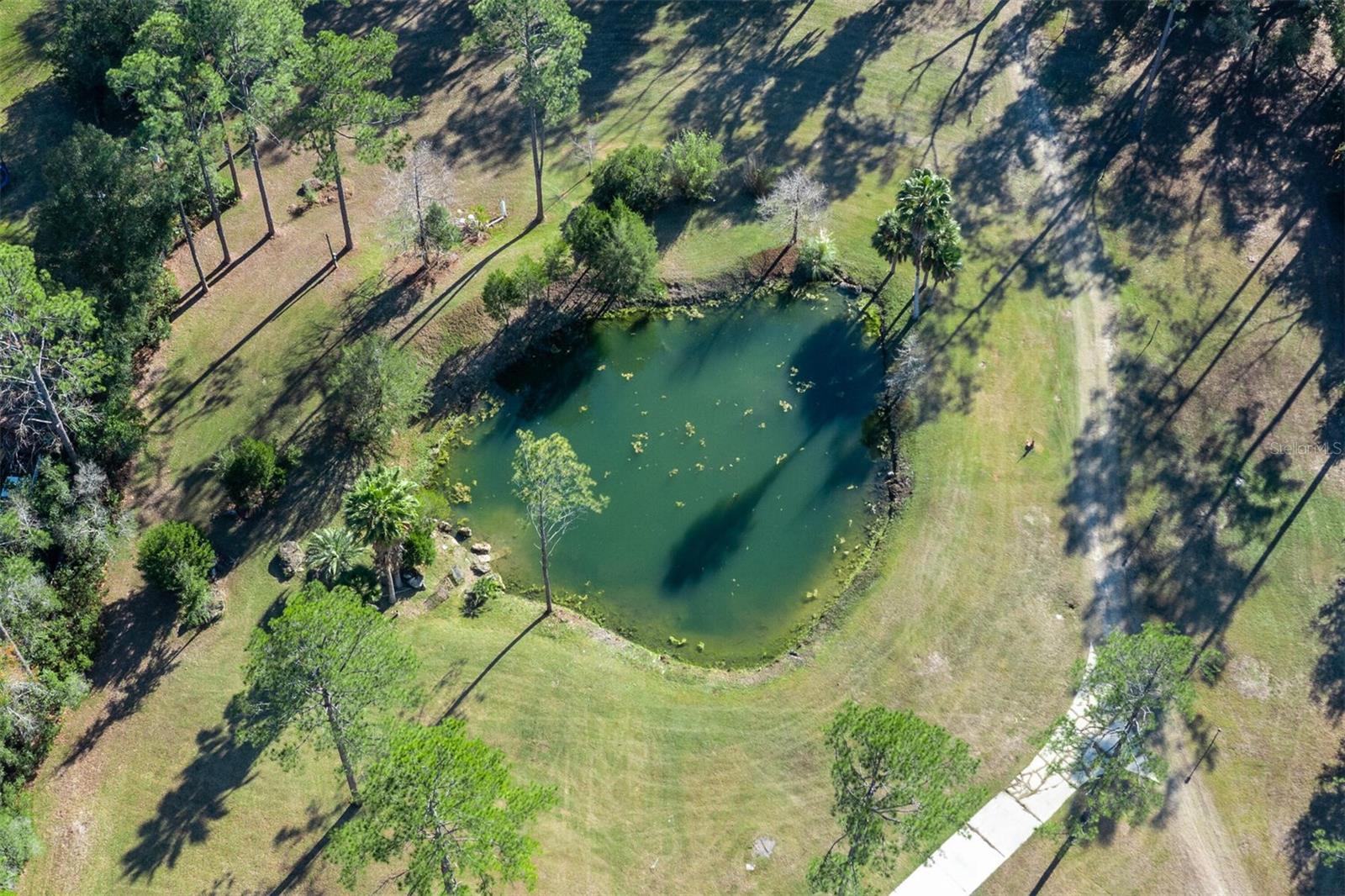 NOT IN SUBDIVISION - Residential