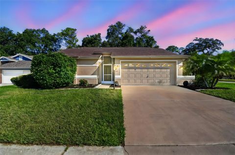 Photo of 13103 Topflite Court, Hudson, FL 34669 (MLS # W7880253) Photo of 13103 Topflite Court, Hudson, FL 34669 (MLS # W7880253)