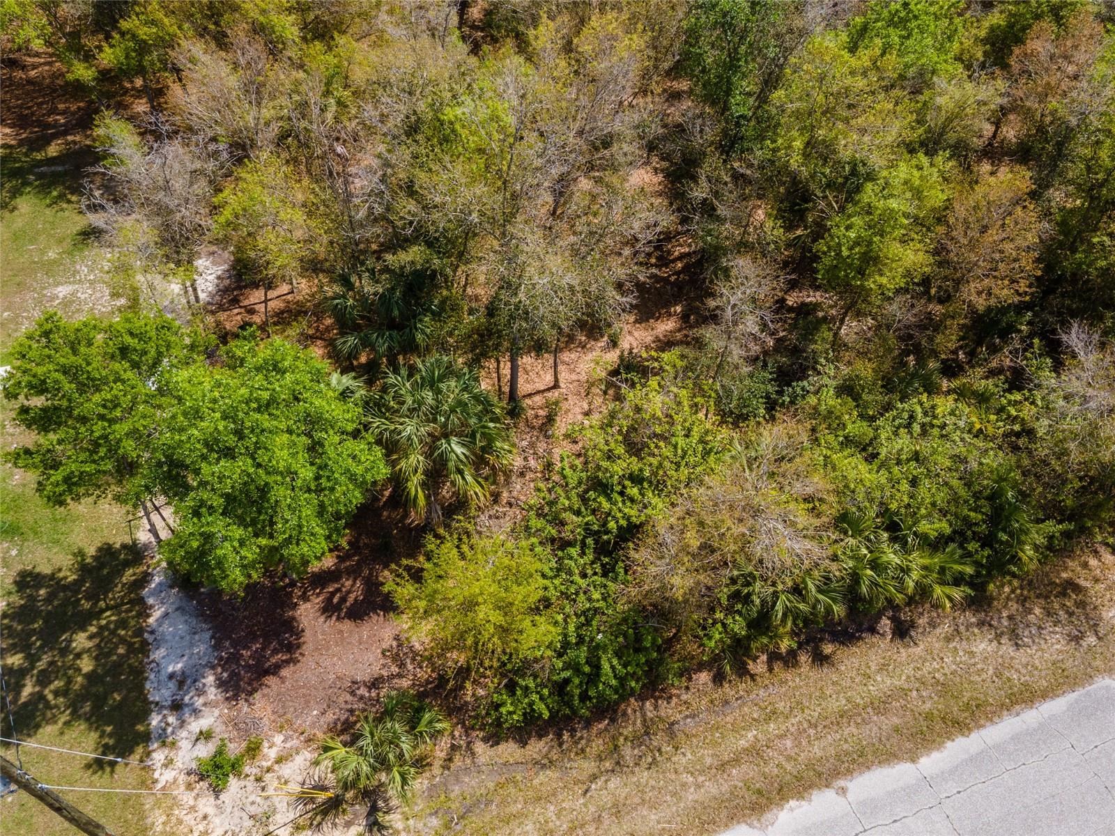 PORT CHARLOTTE SEC 095 - Land