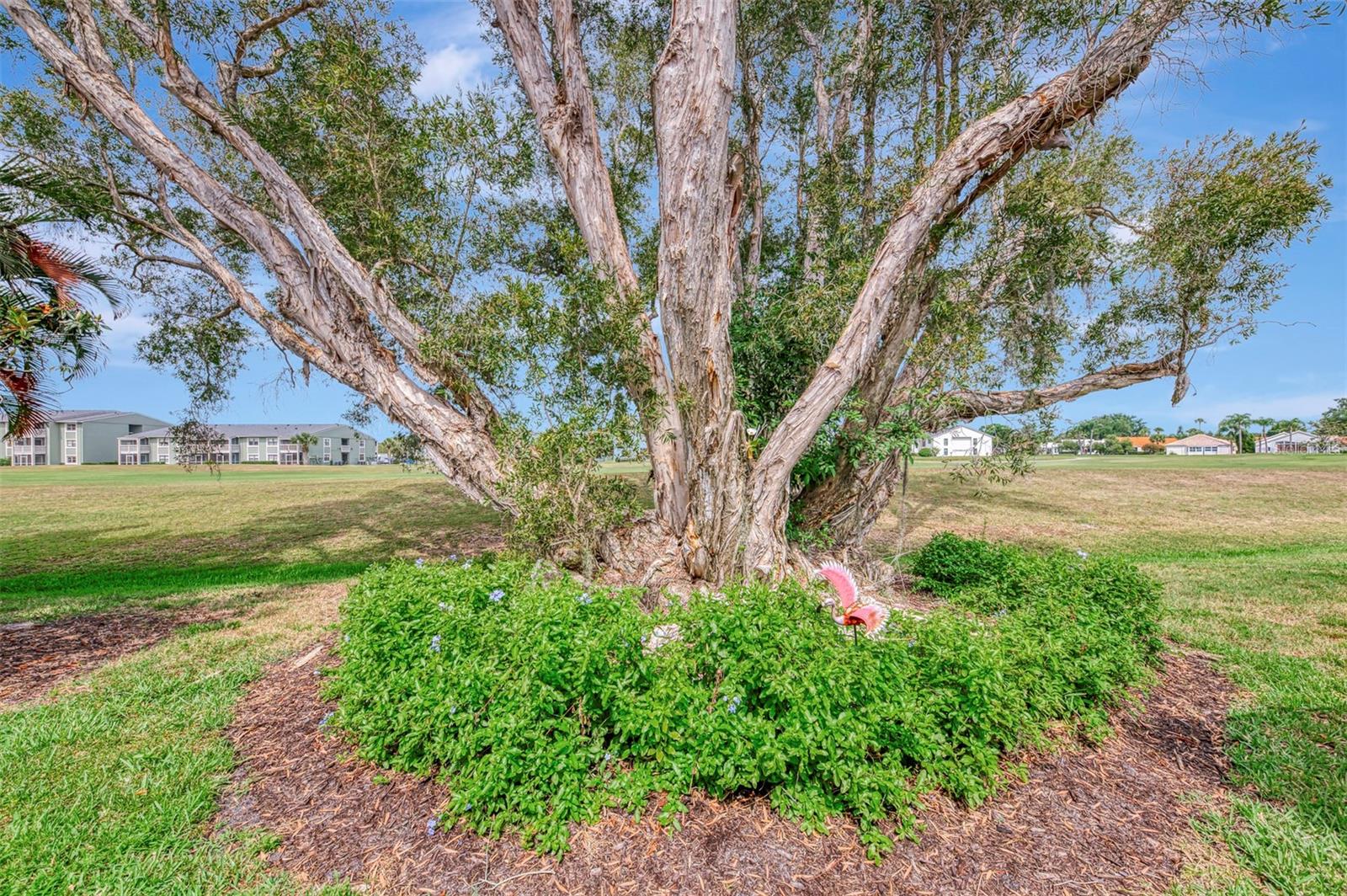SAWGRASS - Residential