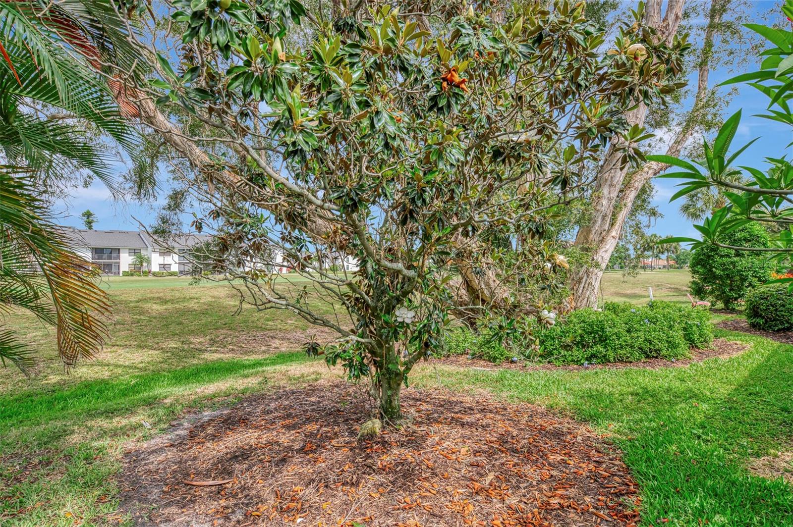 SAWGRASS - Residential