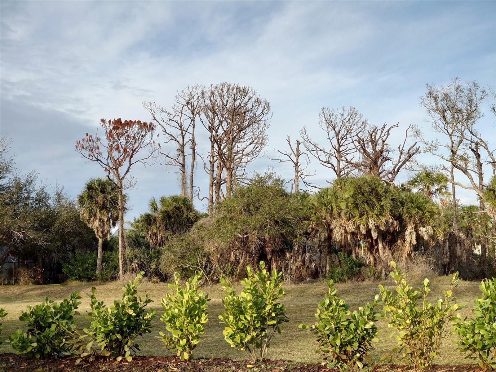 CORAL COVE SUB - Land