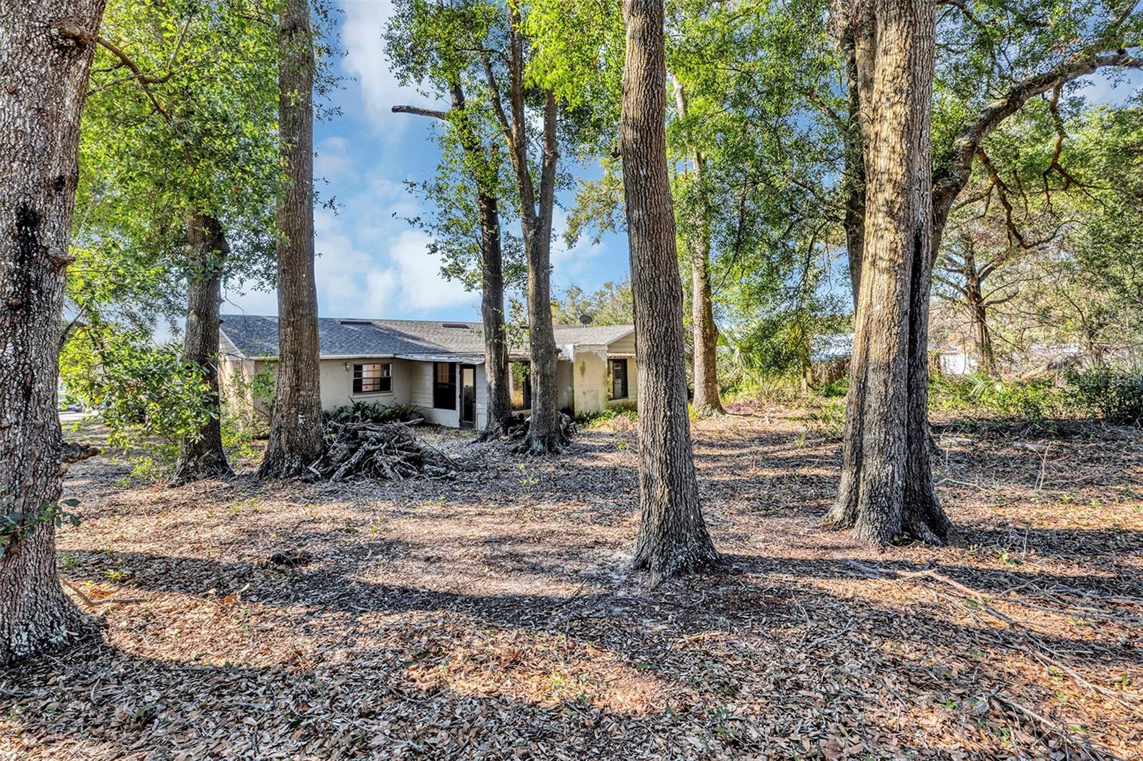 SELMA HOMESITES - Residential