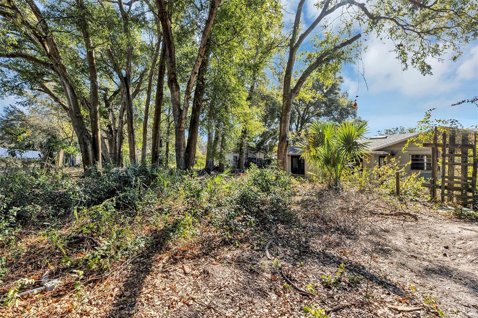 SELMA HOMESITES - Residential