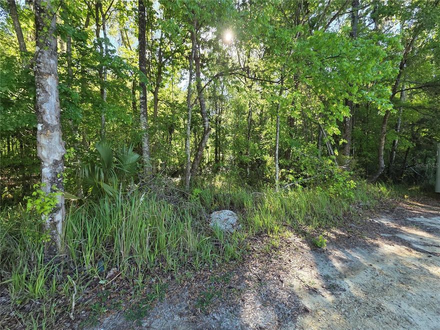 Build your dream home, on this one-third acre lot, in beautiful Belleview. Located in a developing area with newly constructed homes. Zoned R1 for single family residences. Close proximity to great schools, shopping centers and other conveniences. Convenient commute to both Ocala, Summerfield and/or The Villages. NO HOA. Not in a flood zone. Buy and build today!