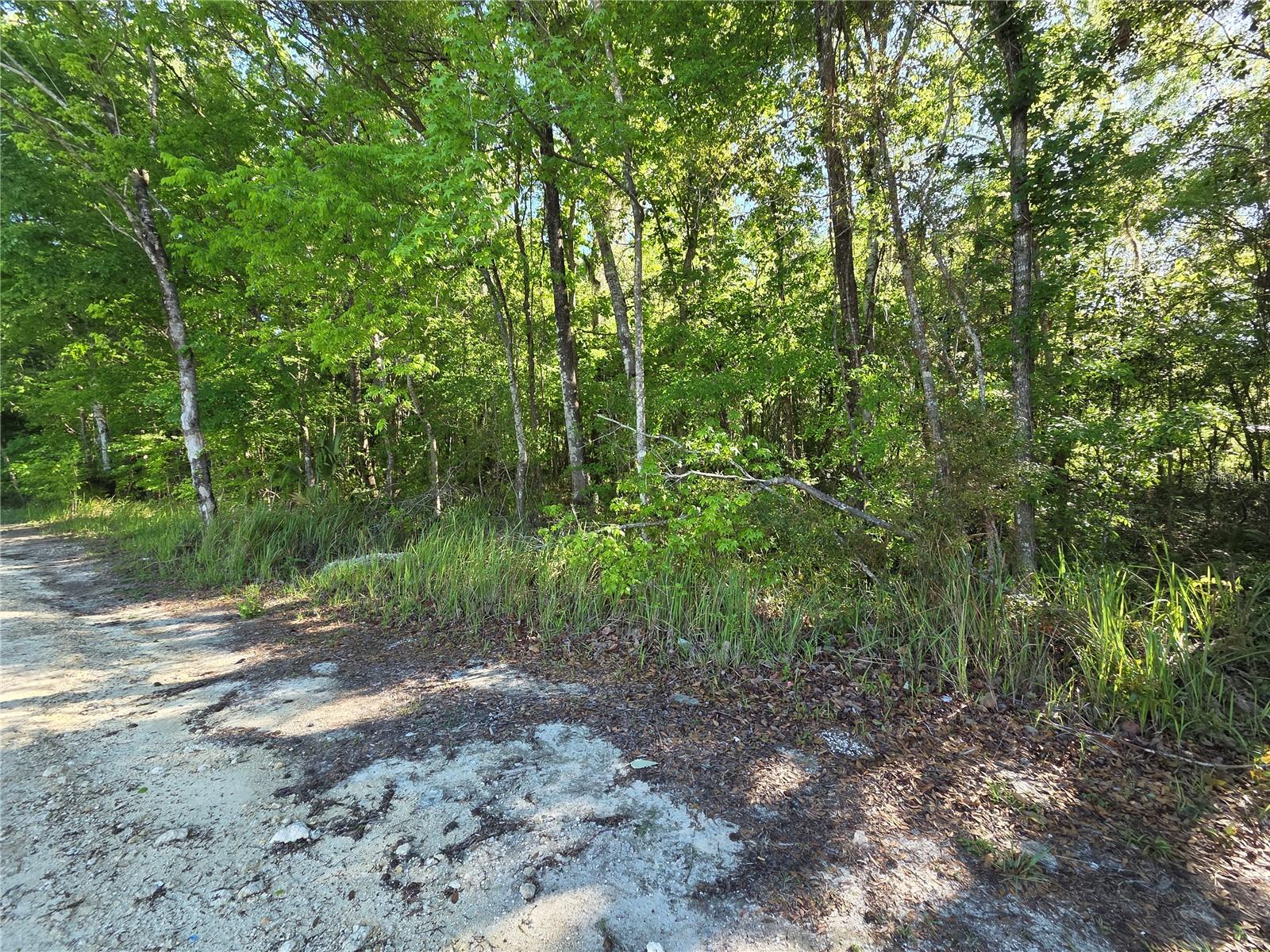 BELLEVIEW HEIGHTS ESTATES - Land