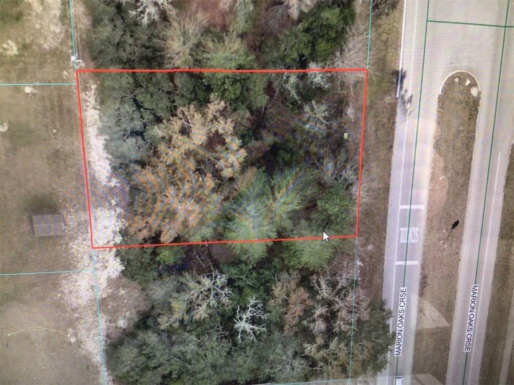 Photo of 352 Marion Oaks Course, Ocala, FL 34473 (MLS # OM718445)