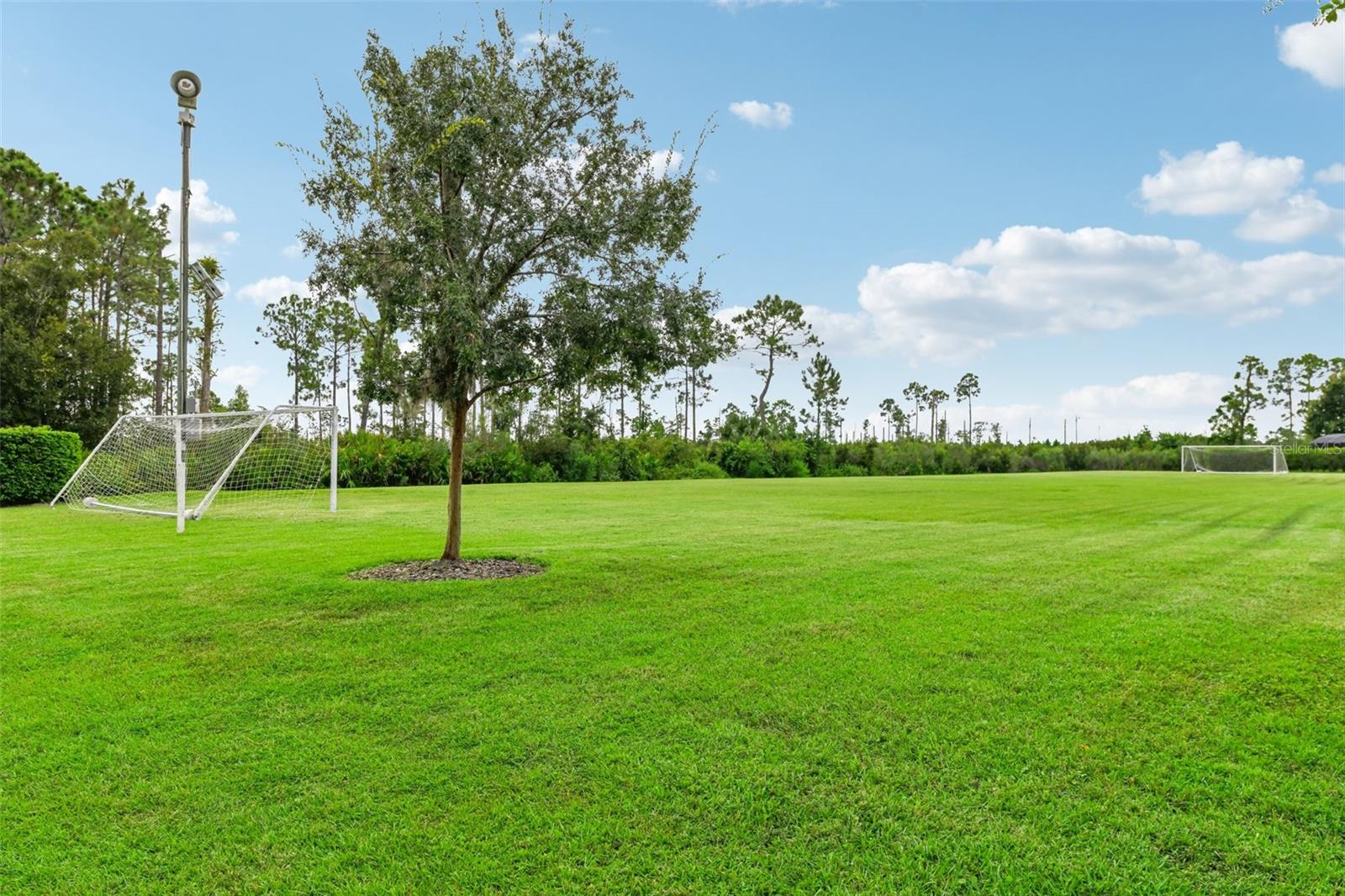 LIVE OAK RESERVE UNIT FOUR - Residential