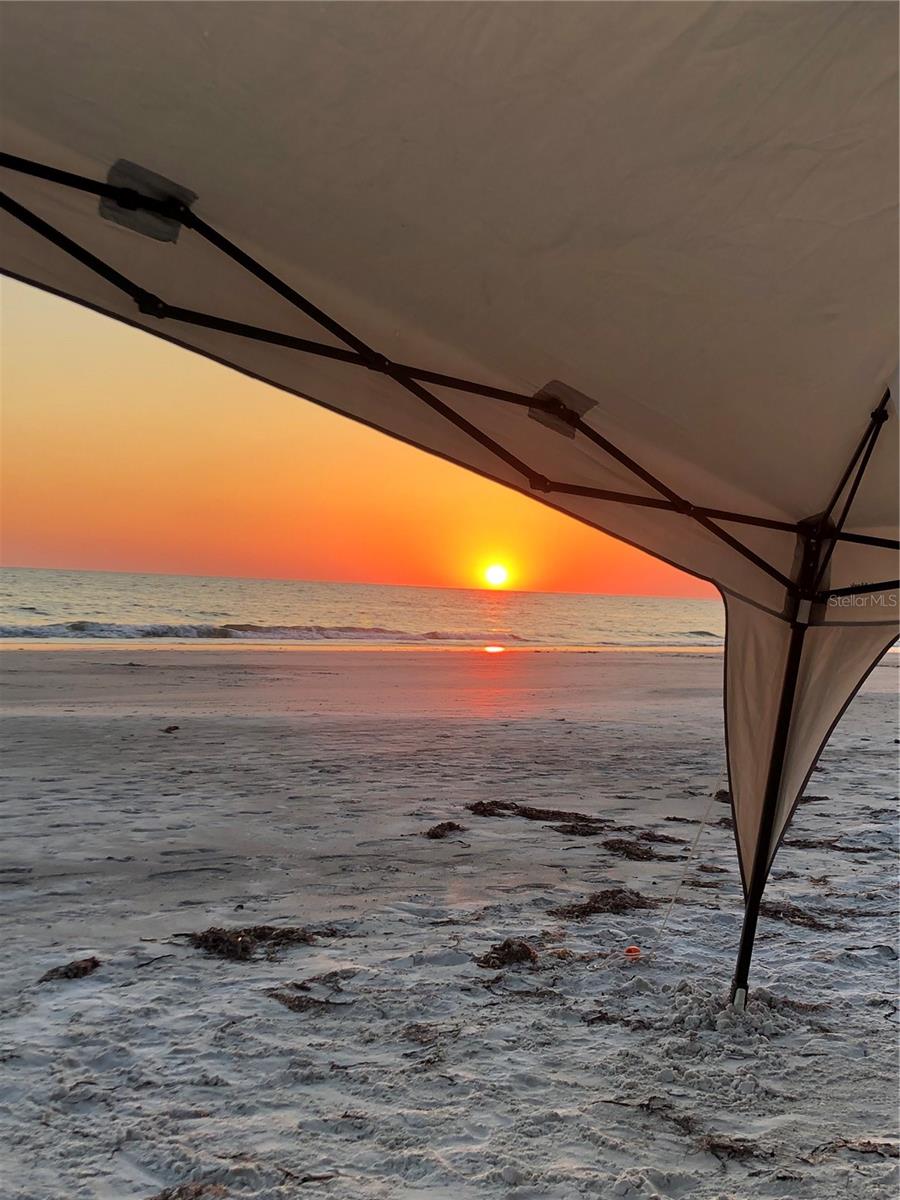 GULFSHORE TWNHS CONDO - Residential