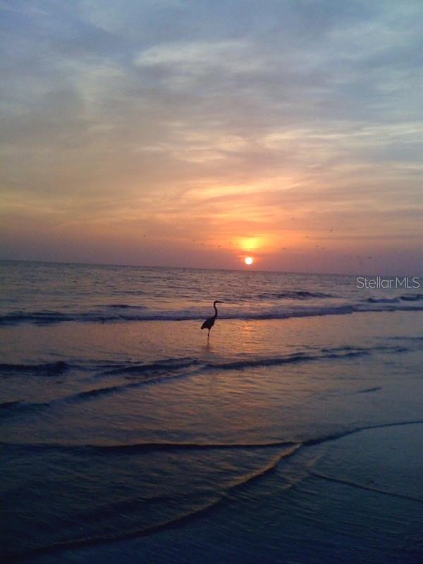 GULFSHORE TWNHS CONDO - Residential