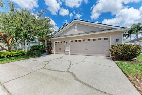 A home in VALRICO