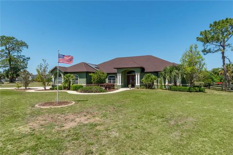Photo of 6045 NE 65th Street, Silver Springs, FL 34488 (MLS # OM699654) Photo of 6045 NE 65th Street, Silver Springs, FL 34488 (MLS # OM699654)