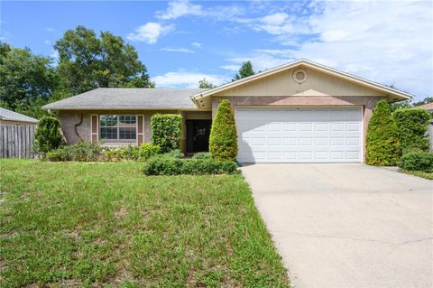 1016 MARTEX DRIVE APOPKA FL 32703