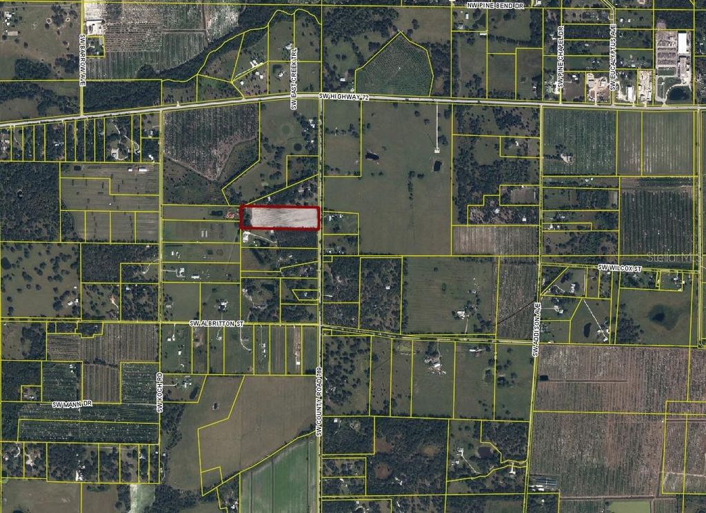 Photo of 1673 SW County Road 769, Arcadia, FL 34266 (MLS # C7506721)