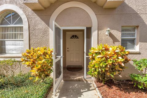 A home in PALM HARBOR