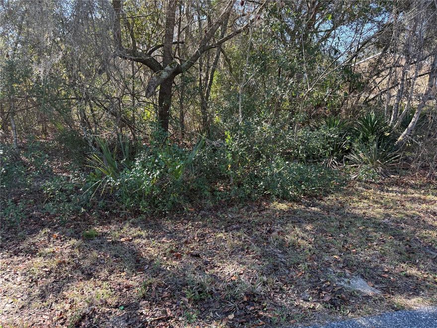 Over on third acre to build your new home.  Great area with easy access to Belleview, The villages and Ocala!
New homes bult across the street.
