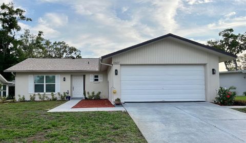 10627 MIRA VISTA DRIVE PORT RICHEY FL 34668