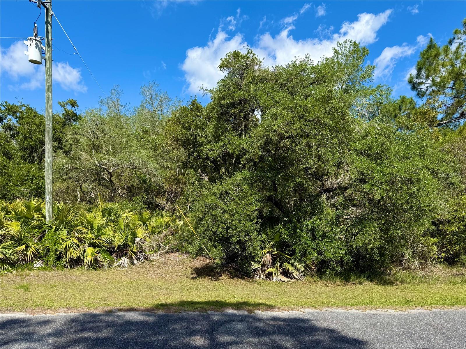 LOT 1 JERICHO TRAIL