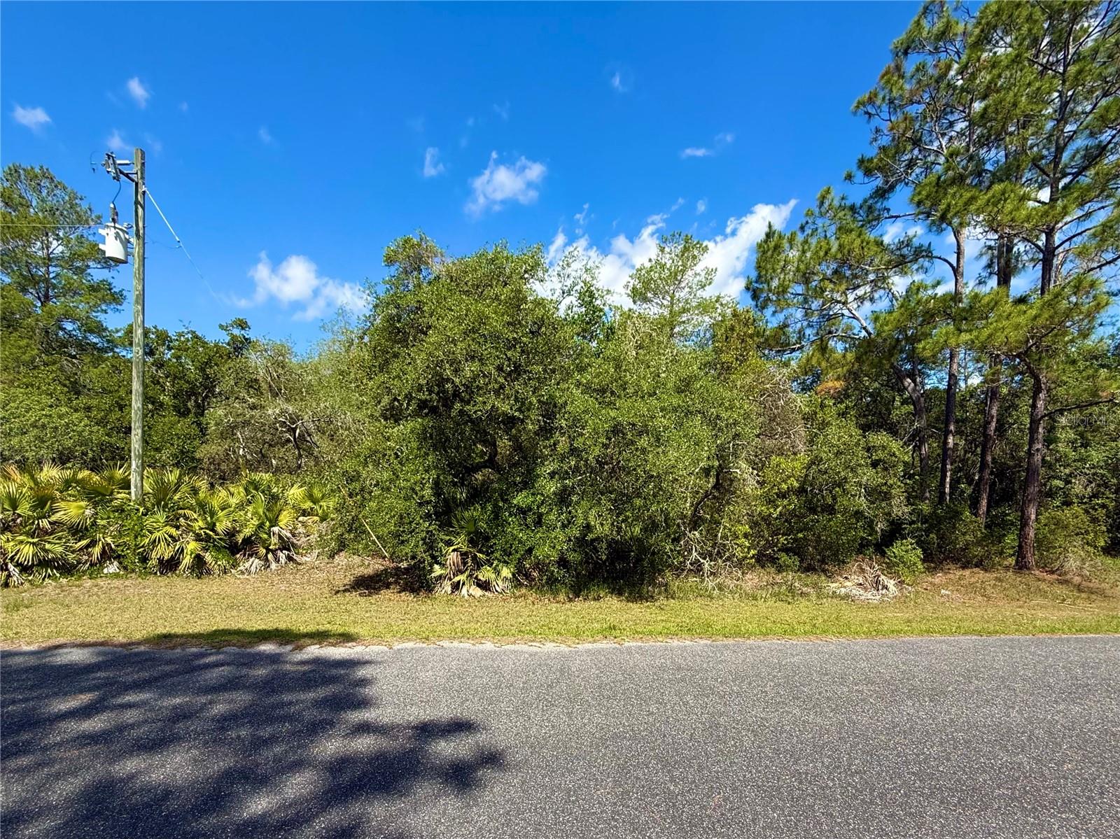 LOT 1 JERICHO TRAIL