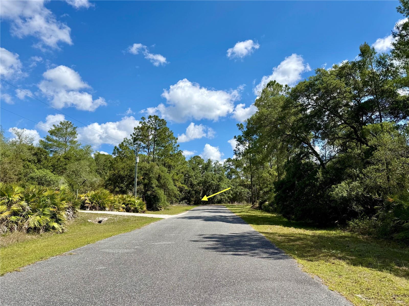 LOT 1 JERICHO TRAIL