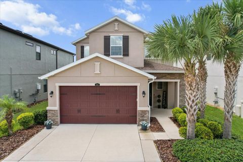4745 TRAMANTO LANE WESLEY CHAPEL FL 33543