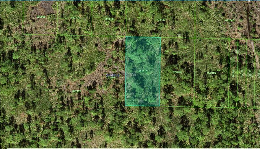 A VACANT LOT IN LAKE WALES IN POLK COUNTY!!! This parcel is located in the River ranch property owners association area.