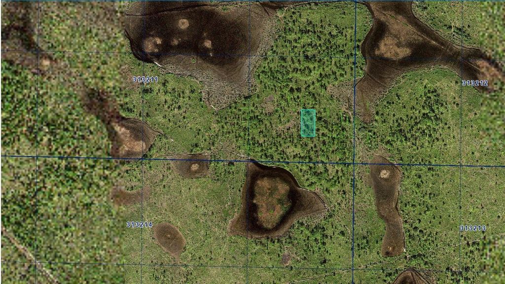 Photo of 31 River Ranch Boulevard, Lake Wales, FL 33898 (MLS # A4660295)