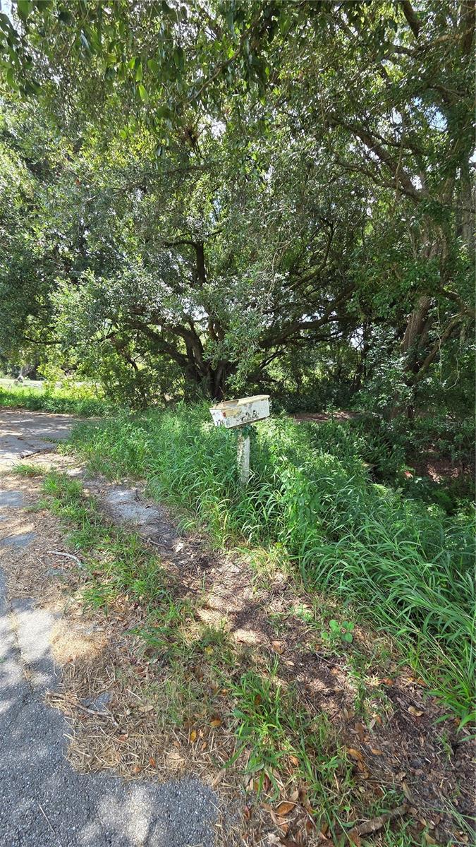 HOWEY W J LAND CO SUBDIVISION - Residential