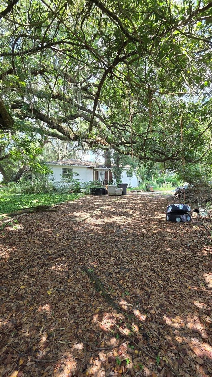 Ample shade & privacy courtesy of the surrounding trees. Unlock a lucrative development opportunity with this strategically located 2.9-acre lot in close proximity to Malls, Hwy 27, Restaurants, Disney World, & Orlando Airport. Excellent INVESTMENT and/or an AMAZING DEVELOPMENT OPPORTUNITY awaits the qualified vision. Endless potential—create a lush nursery with fruit trees or build out the land.  Don't let this opportunity pass you by! KB Homes has preconstruction homes nearby. This land is primed for substantial returns, ripe with opportunity. Fixer upper or tear down will require your renovation ideas. Home is in poor condition and offers 2 beds, 2 baths, large kitchen with dining area, living room and a Florida room. Home sits on a large lot 128,698 sf with other structures. Property will need repairs to include roof, ceiling, floors, walls, electrical, HVAC, plumbing and other cosmetic updates. CAUTION MOLD may be present throughout. Being sold AS IS, with NO Property disclosure or inspection reports. PRICED FOR A QUICK SALE IN A STELLAR LOCATION. THIS IS 1031 EXCHANGE, CASH, HARD MONEY, DSCR (SALE IS NOT SUBJECT TO FINANCING) DEAL. Buyer is responsible for all inspections and any city requirements to close. All information and property details set forth in this listing, are deemed reliable but not guaranteed and should be independently verified if any person intends to engage in a transaction based upon it. Seller/current owner does not represent and/or guarantee that all property information and details have been provided in this MLS listing. Submit serious and complete offers Please.