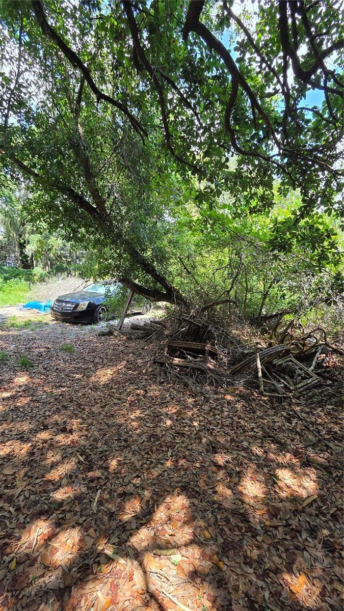 HOWEY W J LAND CO SUBDIVISION - Residential