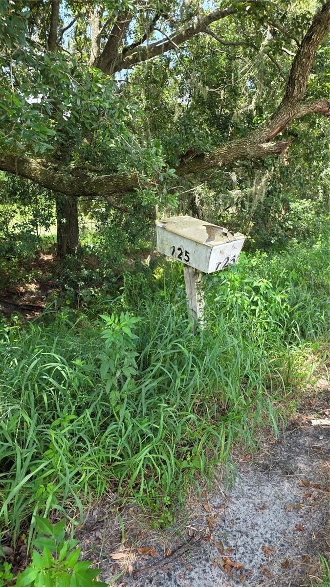 HOWEY W J LAND CO SUBDIVISION - Residential