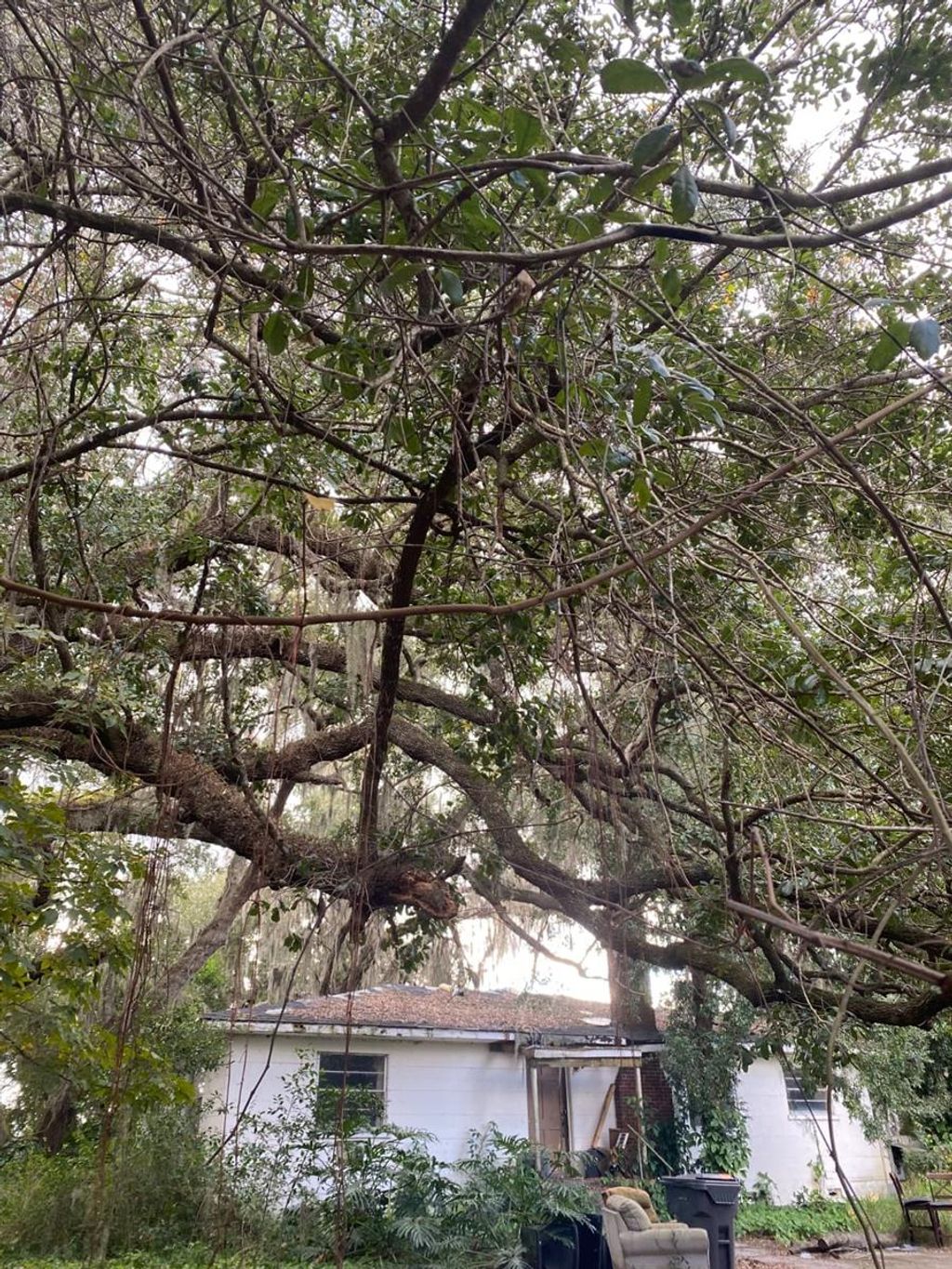 Photo of 725 Hickory Hammock Road, Lake Wales, FL 33859 (MLS # L4956359)