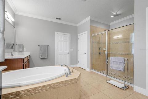 Tiny photo for 313 Blue Cypress Drive, Groveland, FL 34736 (MLS # G5102294)