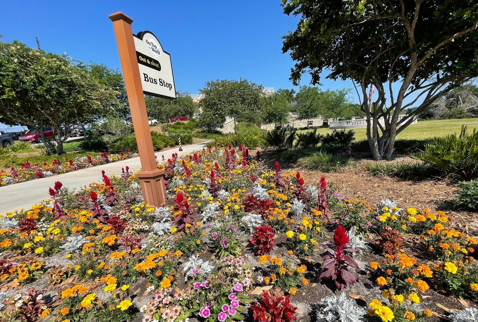 ON TOP OF THE WORLD/CENTRAL REPLA - Residential